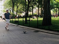 Madison Park Eekhoorntje