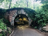 Central Park