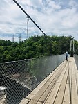 Lévis