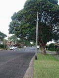 The street right