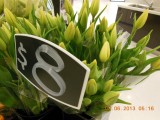 10 tulpen voor 8 dollar
