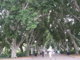 Hyde Park