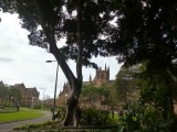 St. Mary's Cathedral