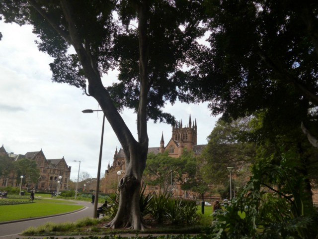 St. Mary's Cathedral
