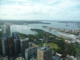 The Royal Botanic Gardens