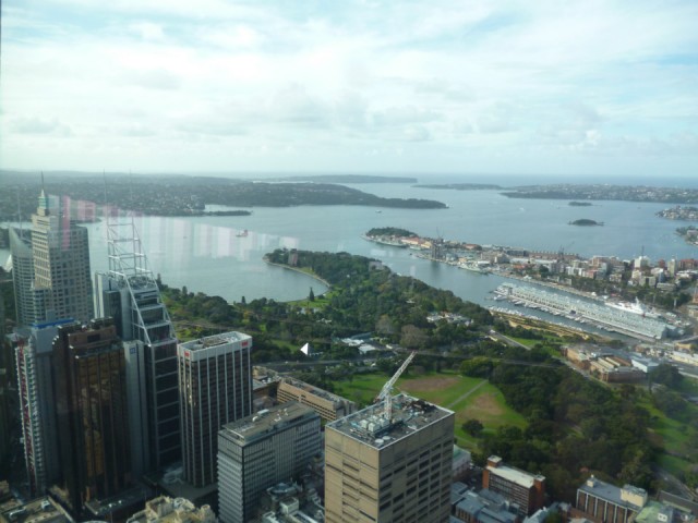 The Royal Botanic Gardens