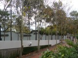 Chinese Garden