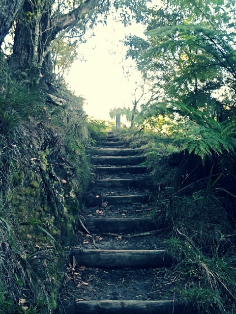 Yep