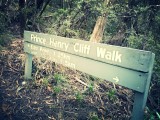Prince Henry cliff walk