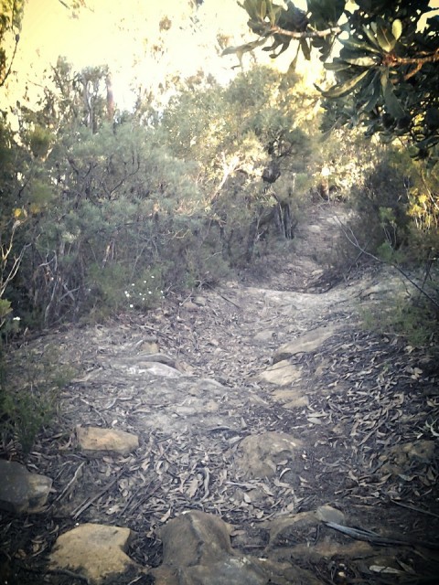 The Blue Mountains