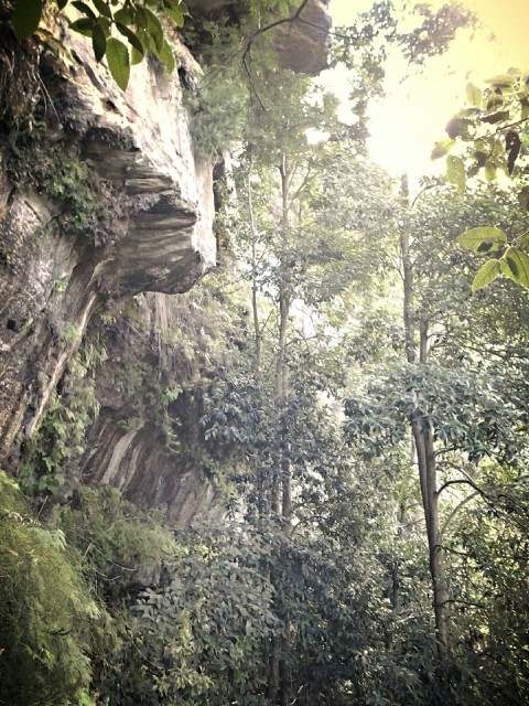 Onderaan the Blue Mountains