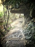 Onderaan the Blue Mountains