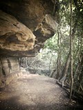 Onderaan the Blue Mountains