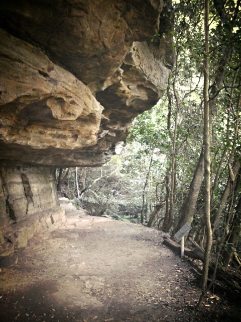 Onderaan the Blue Mountains