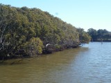 Op weg met ferry naar Parramatta