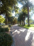 Parramatta park