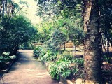 Mooi park