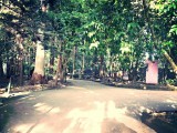 Mooi park