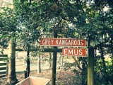 Koala Park