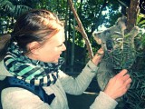 Dit is Junior