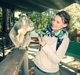 Koala Park