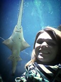 Sydney Sea life