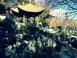 Chinees Garden of friendship