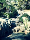Chinees Garden of friendship