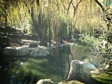 Chinees Garden of friendship