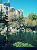 Chinees Garden of friendship