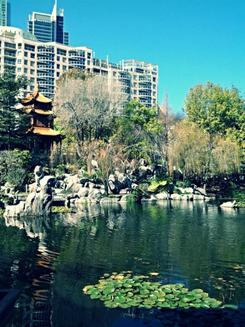 Chinees Garden of friendship
