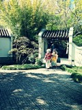 Chinees Garden of friendship