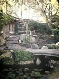 Chinees Garden of friendship