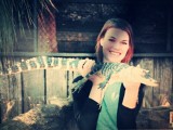 Alligator