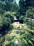 Reptile Park