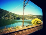 In de trein op weg naar Gosford voor the Reptile Park