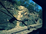 In de trein op weg naar Gosford voor the Reptile Park