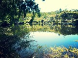 Reptile Park