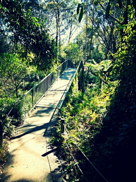 Reptile Park