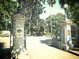 The Botanic Gardens Brisbane