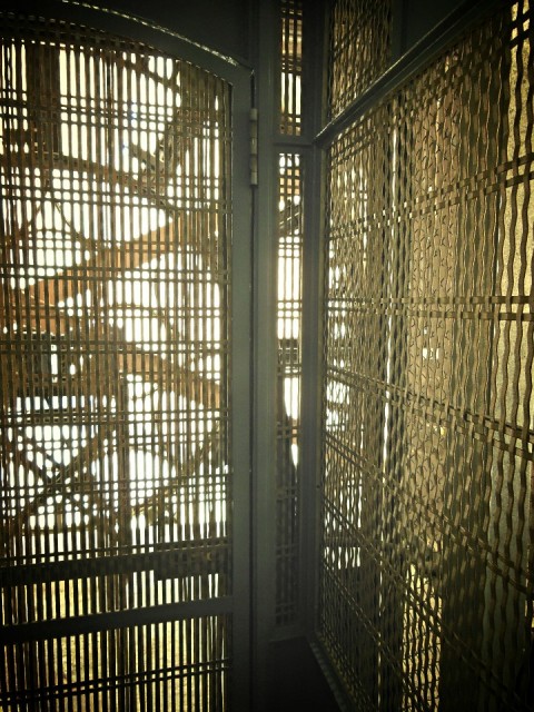 In City Hall