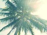 IMG_20130928_080128