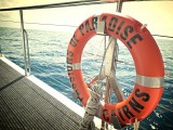 IMG_20130928_073932