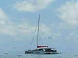 IMG_20130928_074027