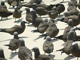 IMG_20130928_074200