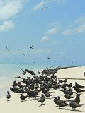 IMG_20130928_074129