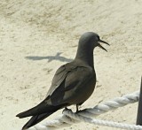 IMG_20130928_074342