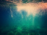 IMG_20130928_074622