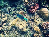 IMG_20130928_074844