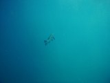 IMG_20130928_074919
